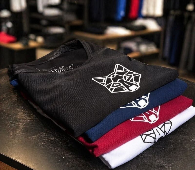 Kit 4 Camisetas Masculinas Dry Lobo Alpha